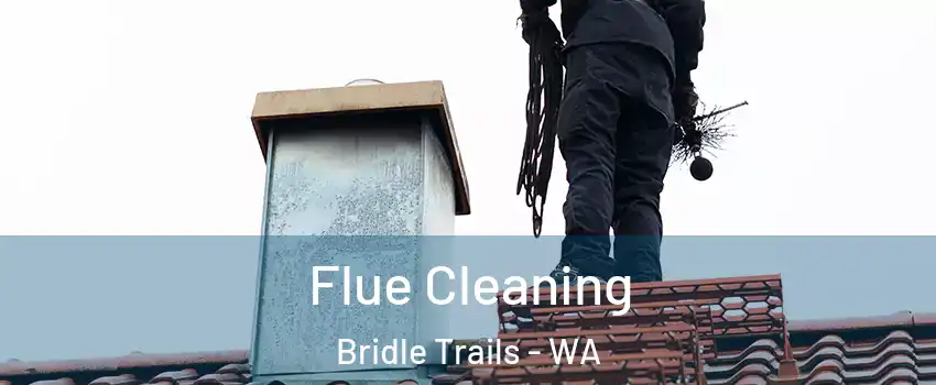 Flue Cleaning Bridle Trails - WA