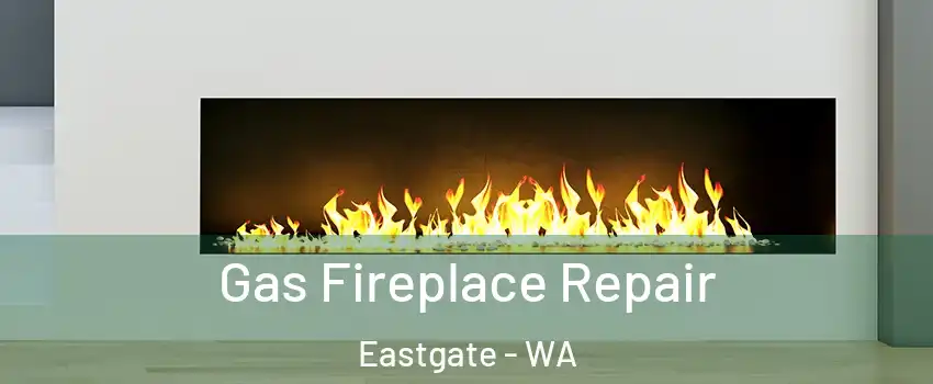 Gas Fireplace Repair Eastgate - WA