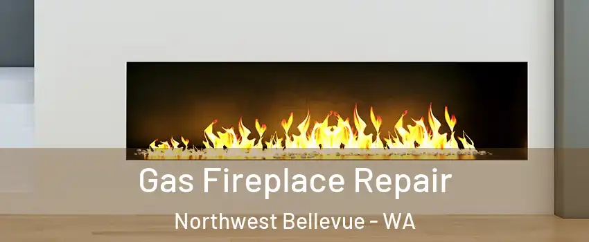 Gas Fireplace Repair Northwest Bellevue - WA