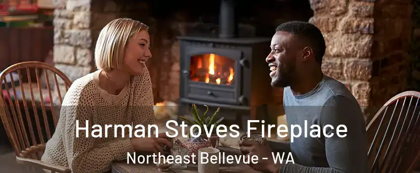 Harman Stoves Fireplace Northeast Bellevue - WA
