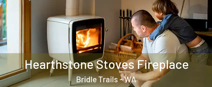 Hearthstone Stoves Fireplace Bridle Trails - WA