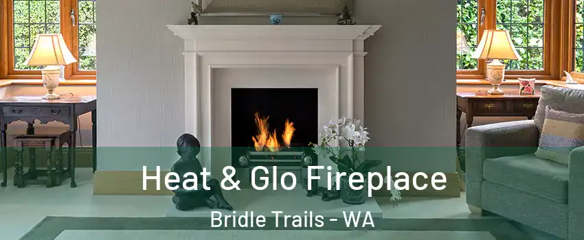 Heat & Glo Fireplace Bridle Trails - WA