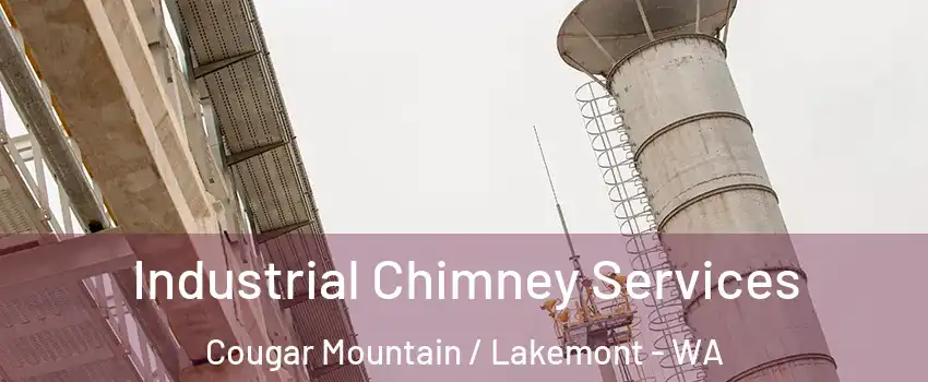 Industrial Chimney Services Cougar Mountain / Lakemont - WA