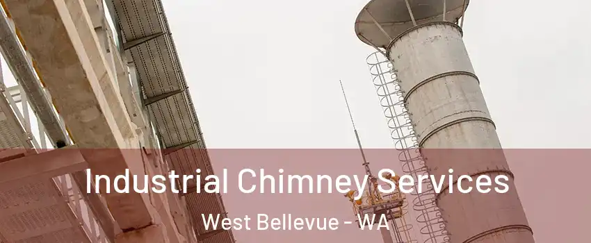 Industrial Chimney Services West Bellevue - WA