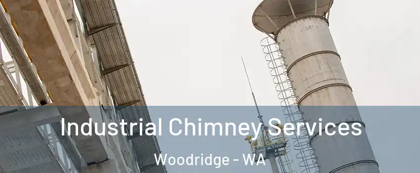 Industrial Chimney Services Woodridge - WA