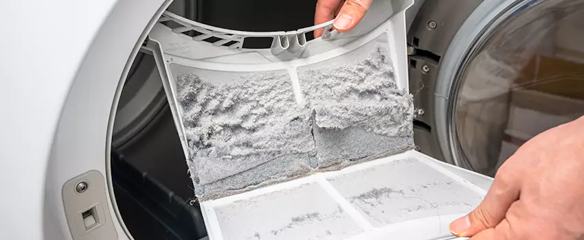Best Dryer Lint Removal Company in Newport, Washington