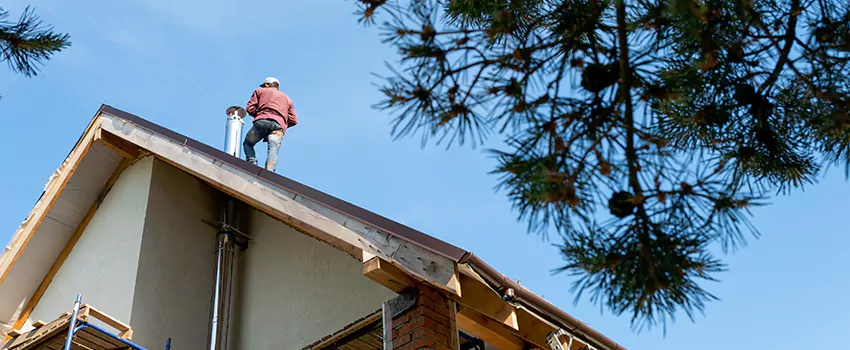 Birds Removal Contractors from Chimney in Newport, WA