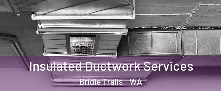 Insulated Ductwork Services Bridle Trails - WA