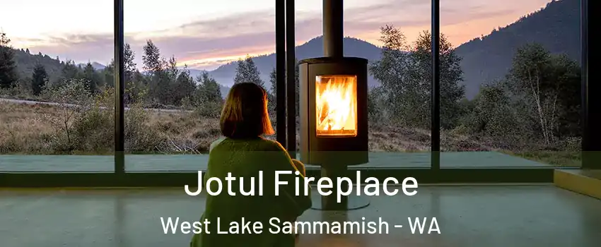 Jotul Fireplace West Lake Sammamish - WA