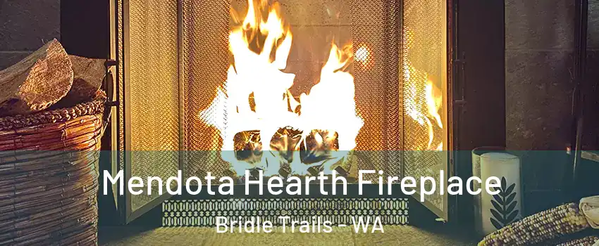 Mendota Hearth Fireplace Bridle Trails - WA