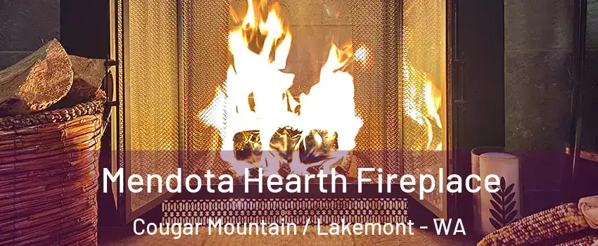 Mendota Hearth Fireplace Cougar Mountain / Lakemont - WA