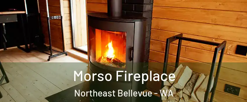 Morso Fireplace Northeast Bellevue - WA