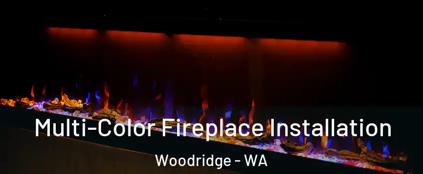 Multi-Color Fireplace Installation Woodridge - WA