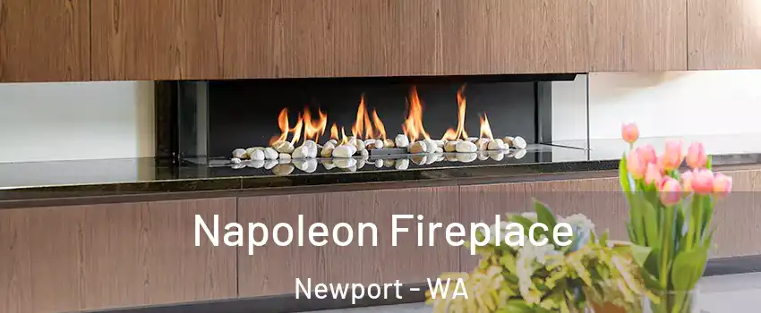 Napoleon Fireplace Newport - WA