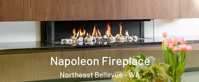 Napoleon Fireplace Northeast Bellevue - WA