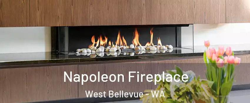 Napoleon Fireplace West Bellevue - WA