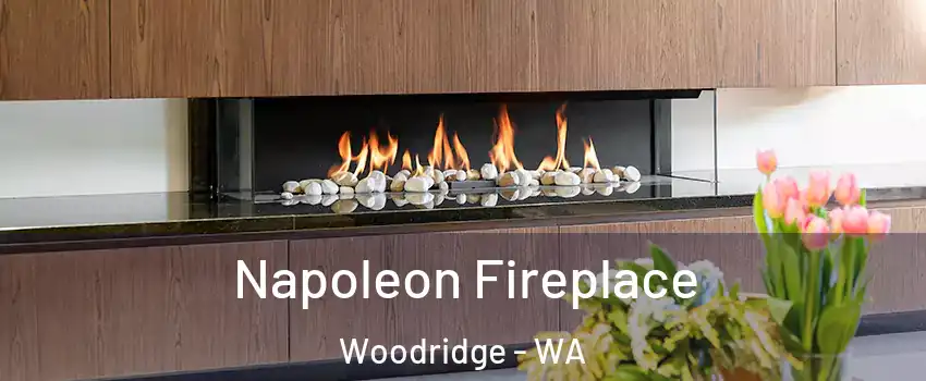 Napoleon Fireplace Woodridge - WA