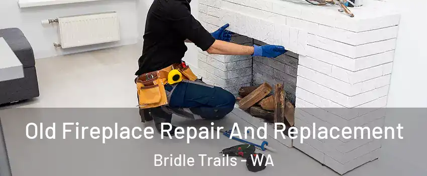 Old Fireplace Repair And Replacement Bridle Trails - WA