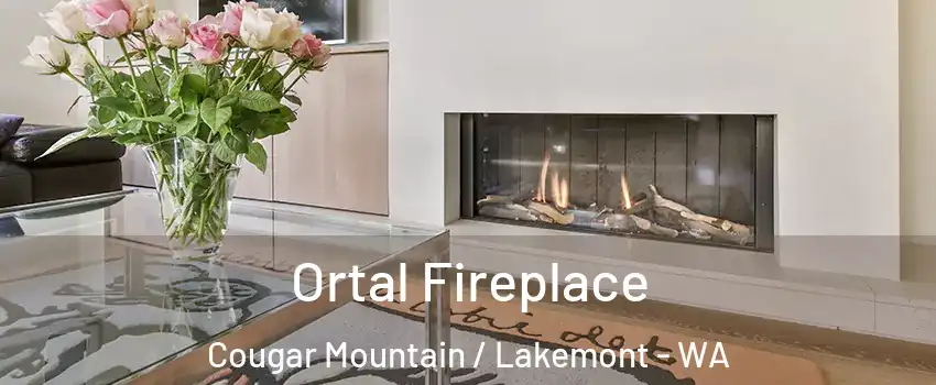 Ortal Fireplace Cougar Mountain / Lakemont - WA