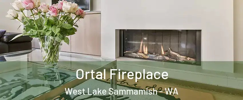 Ortal Fireplace West Lake Sammamish - WA