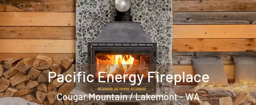 Pacific Energy Fireplace Cougar Mountain / Lakemont - WA