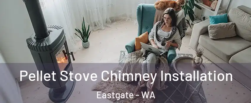 Pellet Stove Chimney Installation Eastgate - WA