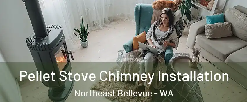 Pellet Stove Chimney Installation Northeast Bellevue - WA