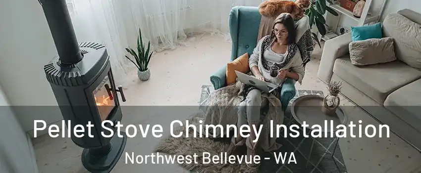 Pellet Stove Chimney Installation Northwest Bellevue - WA