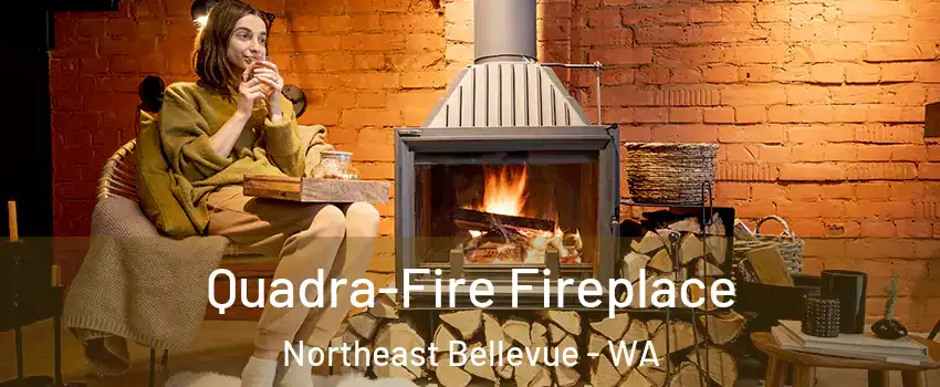 Quadra-Fire Fireplace Northeast Bellevue - WA