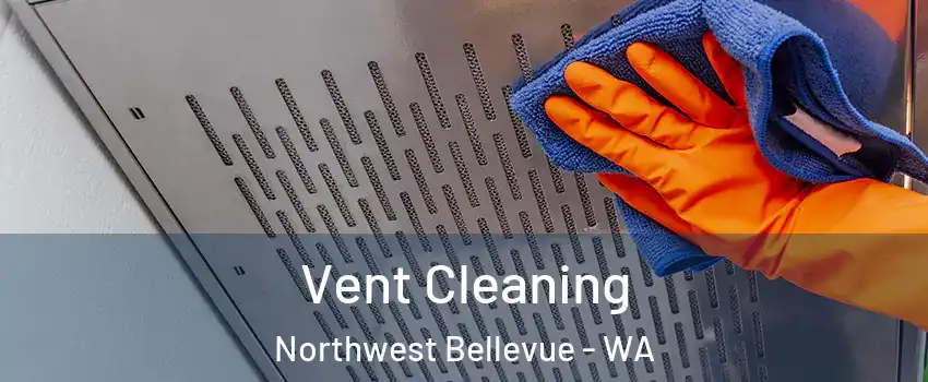 Vent Cleaning Northwest Bellevue - WA
