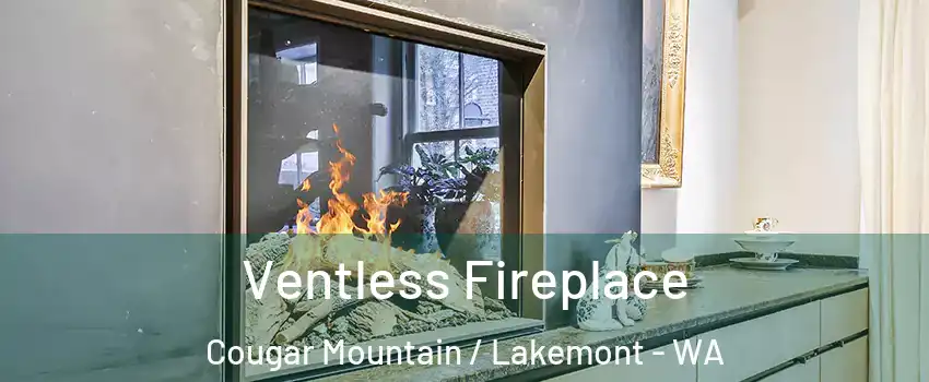 Ventless Fireplace Cougar Mountain / Lakemont - WA