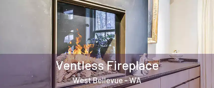 Ventless Fireplace West Bellevue - WA