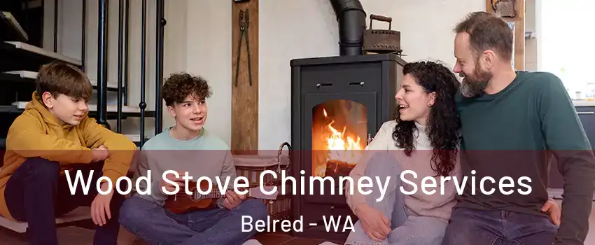 Wood Stove Chimney Services Belred - WA