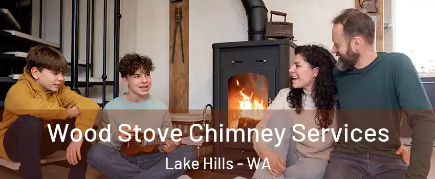 Wood Stove Chimney Services Lake Hills - WA