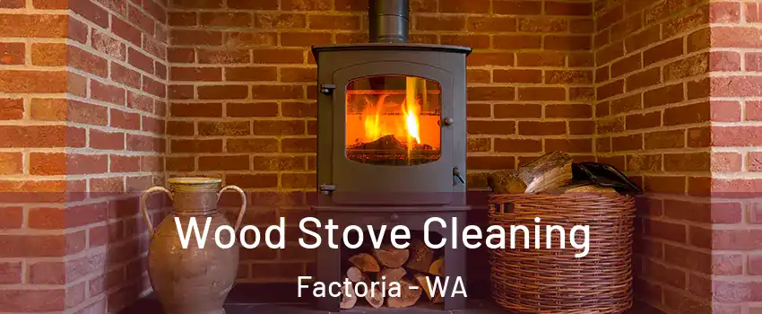 Wood Stove Cleaning Factoria - WA
