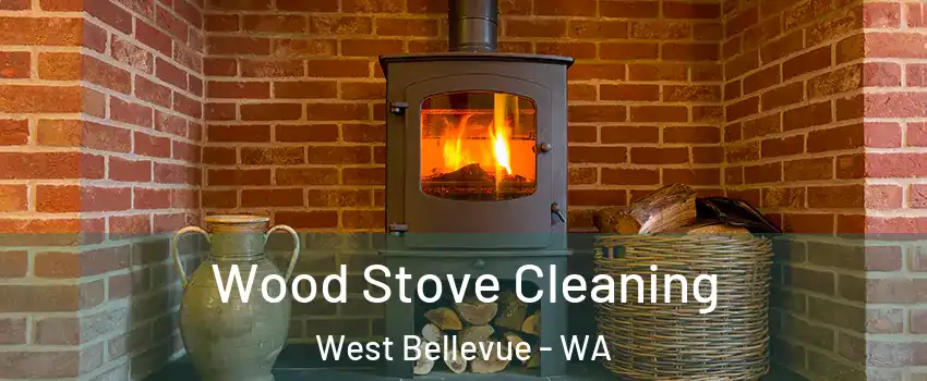 Wood Stove Cleaning West Bellevue - WA