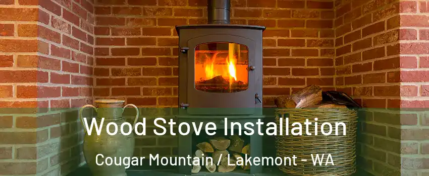 Wood Stove Installation Cougar Mountain / Lakemont - WA