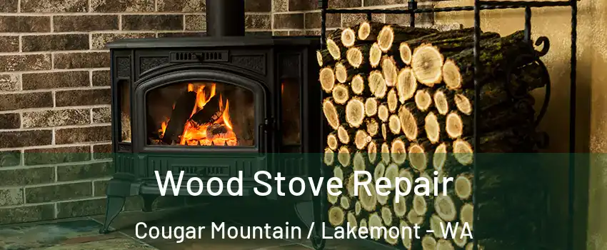 Wood Stove Repair Cougar Mountain / Lakemont - WA
