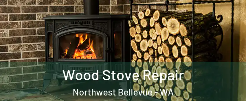 Wood Stove Repair Northwest Bellevue - WA